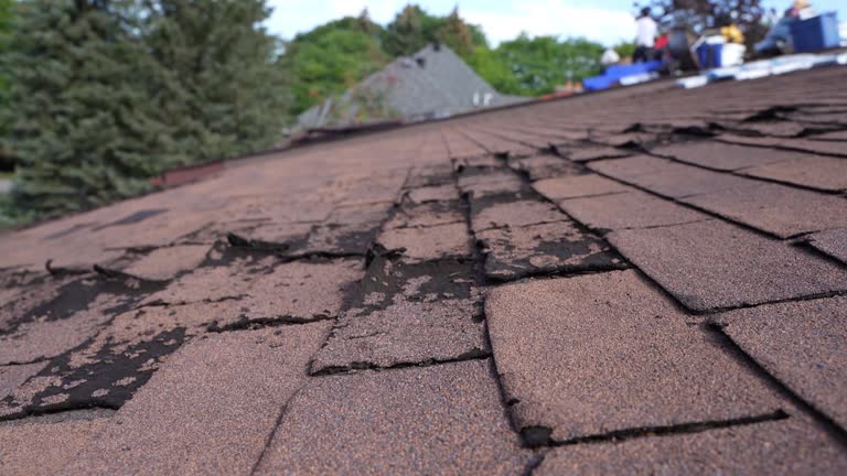 Best Slate Roofing  in Brownsburg, IN