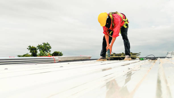 Best Cold Roofs  in Brownsburg, IN
