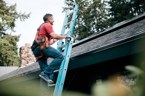 Best Roof Coating and Sealing  in Brownsburg, IN